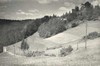 Hrad Frymburk
