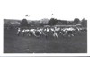Slet Jiráskovy sokolské župy podkrkonošské - 23. 6. 1929