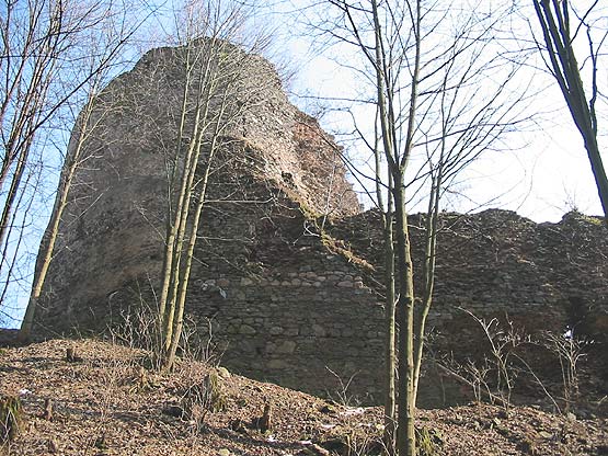 Zřícenina hradu Frymburk