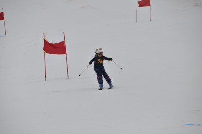 Přebor ČOS v obřím slalomu