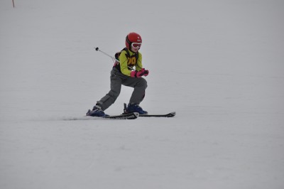 Přebor ČOS v obřím slalomu