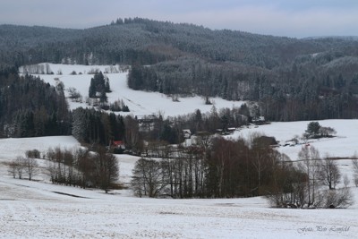 Březen za kamna... - březen 2021