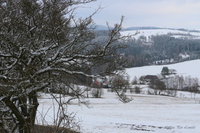 Březen za kamna... - březen 2021