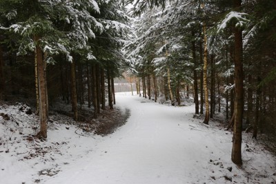 Březen za kamna... - březen 2021