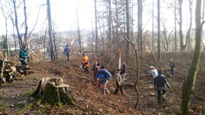 Úklid větví po těžbě a ošetření stromů