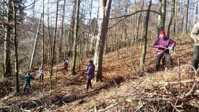 Úklid větví po těžbě a ošetření stromů