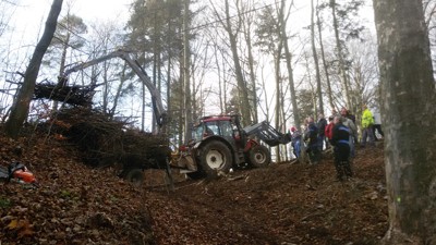 Úklid větví po těžbě a ošetření stromů