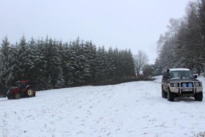 Kácení Javůrku