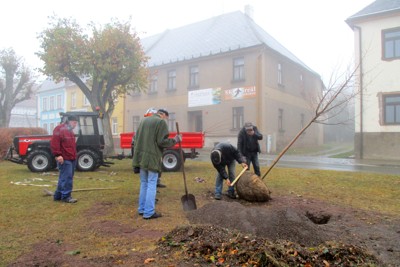 Zasazení výroční lípy na náměstí