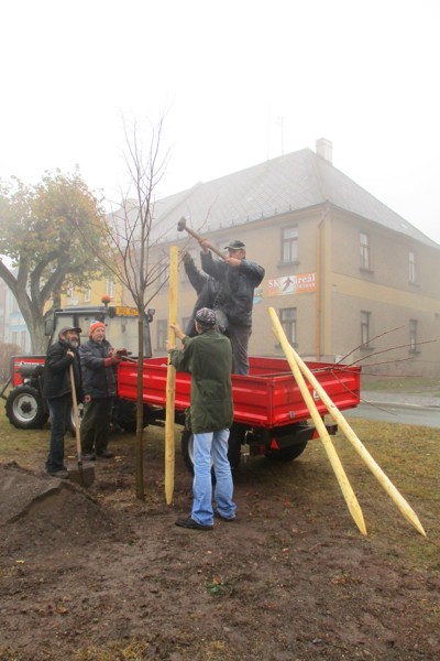 Zasazení výroční lípy na náměstí