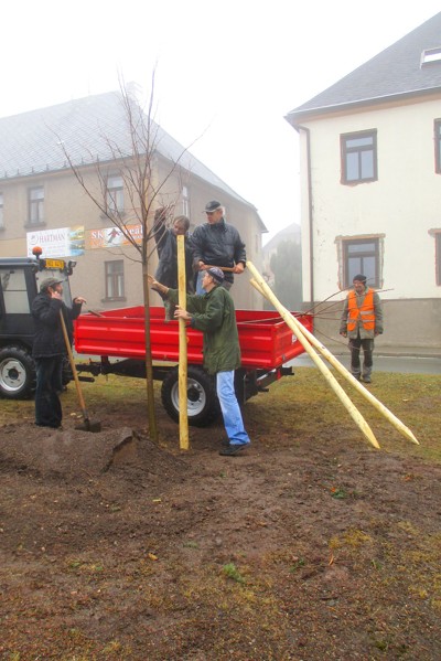 Zasazení výroční lípy na náměstí