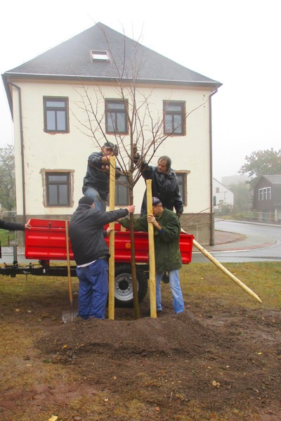 Zasazení výroční lípy na náměstí