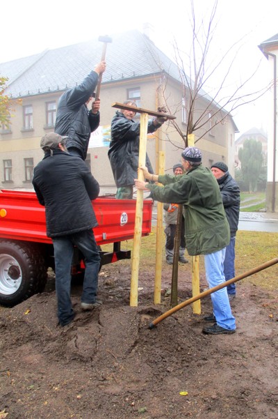 Zasazení výroční lípy na náměstí