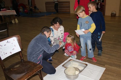 Noc sokoloven 2017