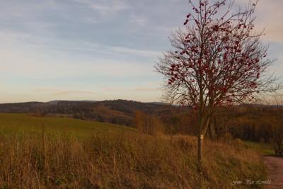 Barevný podzim