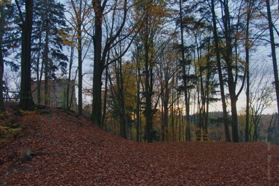 Barevný podzim