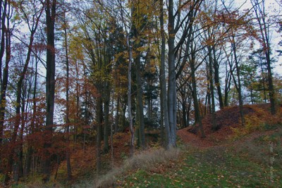 Barevný podzim