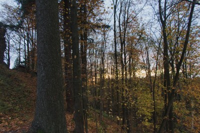 Barevný podzim