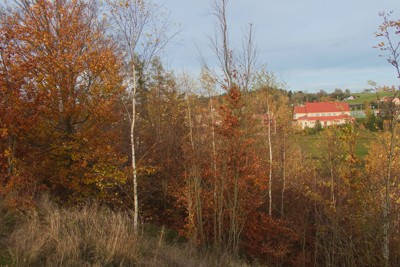 Barevný podzim