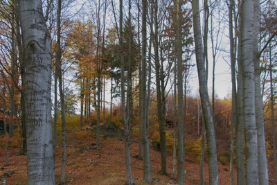 Barevný podzim