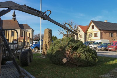 Příprava vánočního stromu na náměstí