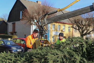 Příprava vánočního stromu na náměstí