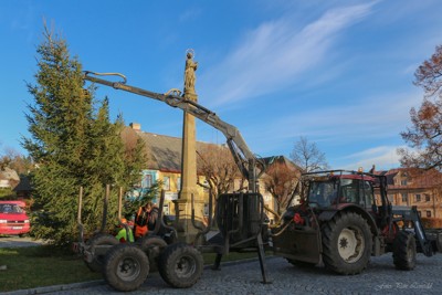 Příprava vánočního stromu na náměstí
