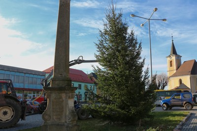 Příprava vánočního stromu na náměstí