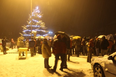 Rozsvěcení vánočního stromu 2015