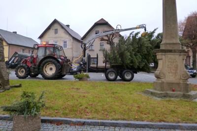 Kácení, přesun a ustavení vánočního stromku