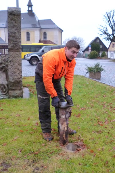 Kácení, přesun a ustavení vánočního stromku