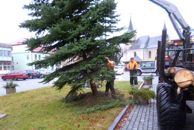 Kácení, přesun a ustavení vánočního stromku