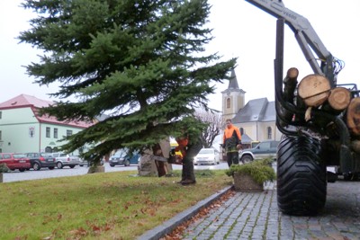 Kácení, přesun a ustavení vánočního stromku