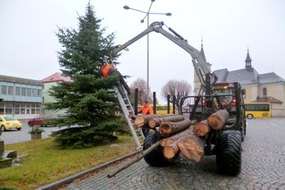 Kácení, přesun a ustavení vánočního stromku