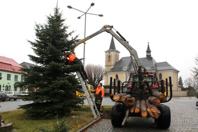 Kácení, přesun a ustavení vánočního stromku