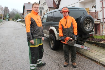 Kácení, přesun a ustavení vánočního stromku