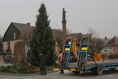 Příprava vánočního stromku 2021