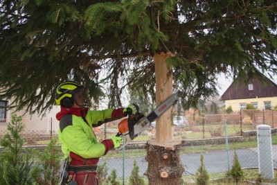 Příprava vánočního stromku 2022
