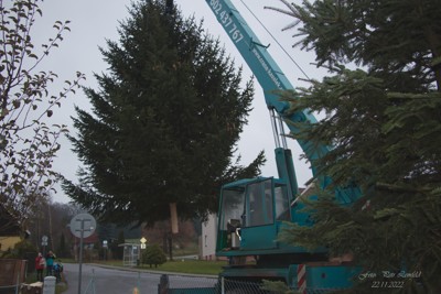 Příprava vánočního stromku 2022