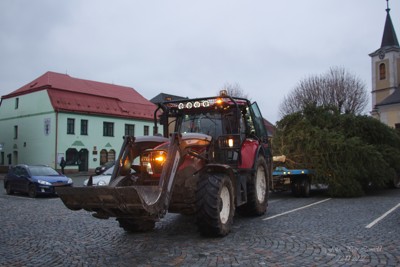 Příprava vánočního stromku 2022