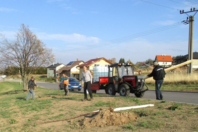 Výsadba třešňové aleje