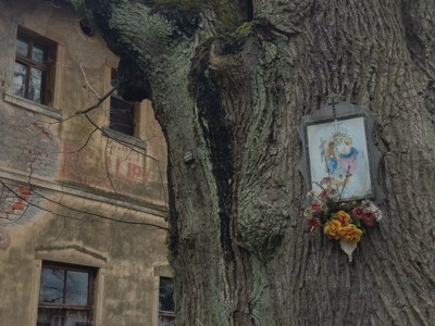 Výstava fotografií křížů a sakrálních staveb